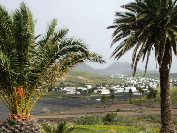 Valley of thousand palmtrees